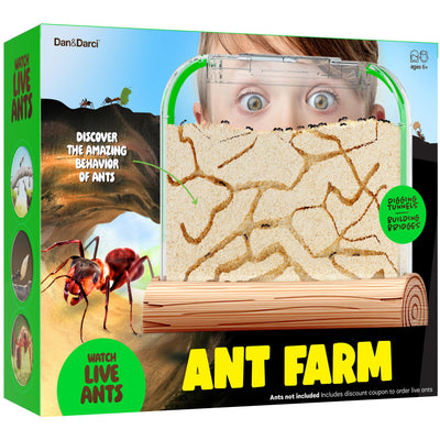 Dan&Darci Ant Farm Kit for Kids - Ants Farms Colony - Sand Habitat Kits - Bug Terrarium House - Educational Science Gifts for Kids - Nature Learning Toys for Boys Girls & Adults (Sand)